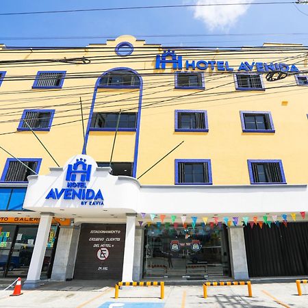 Hotel Avenida Cancún Esterno foto